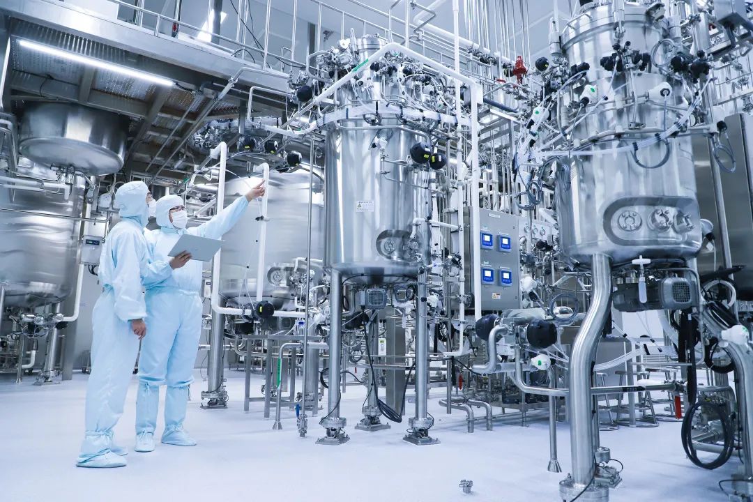 技术驱动与高精服务助推创新高 盘点最新中国医药工业百强榜齐鲁制药的快速跃升